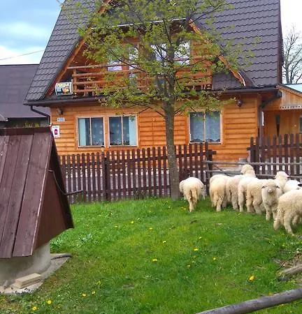 Homestay szállás U Sarnowskich Kościelisko
