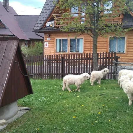 U Sarnowskich Kościelisko