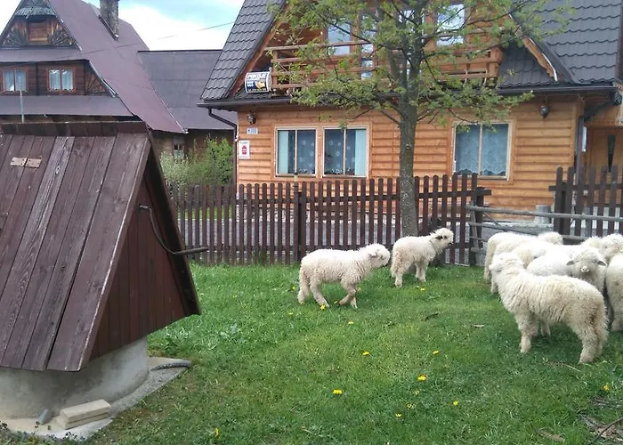 U Sarnowskich קושצ'ליסקו